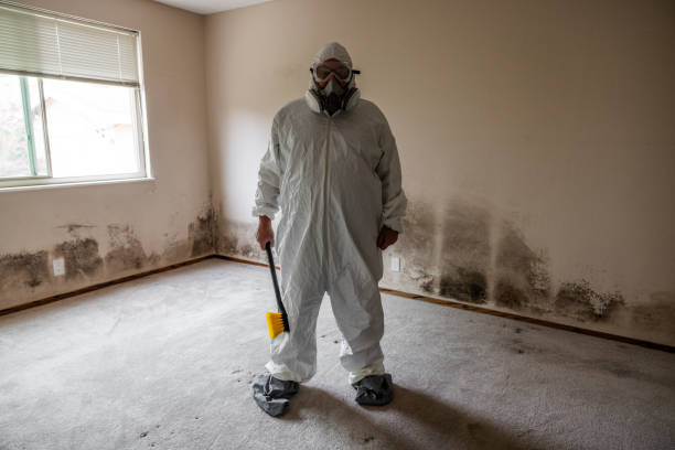 Why You Should Choose Our Mold Remediation Services in Salyersville, KY